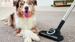 Miele Blizzard CX1 Turbo Team Bagless Canister Vacuum 41KCE042USA -Home Cleaning Tool blizzard turbo team 5 96005.1531853124